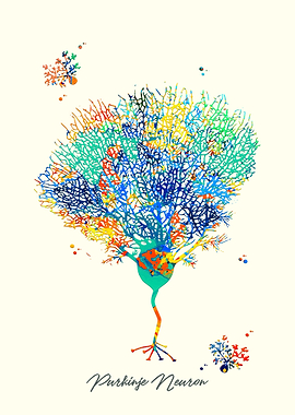 Purkinje Neuron