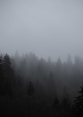 The Great Smoky Mountains