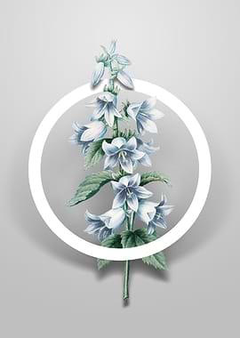 Vintage BellFlower Circle