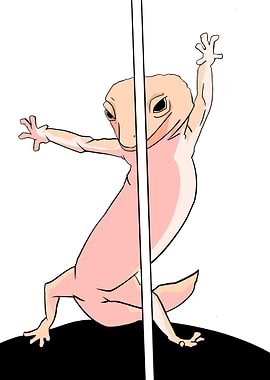 dancing gecko