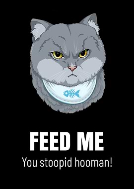 Hungry Cat with Angry Face