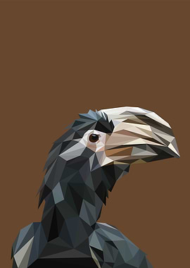 Hornbill