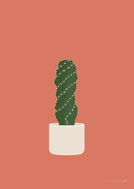 Spiral Cactus Illustration