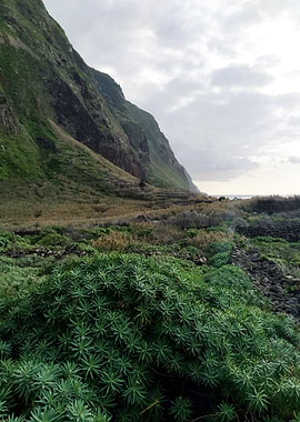 Madeira Portugal Cliffs