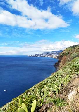 Madeira Portugal Funchal
