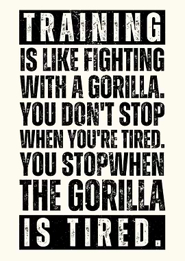 Training is Like Fighting