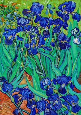 Irises 1889 Gogh Flowers