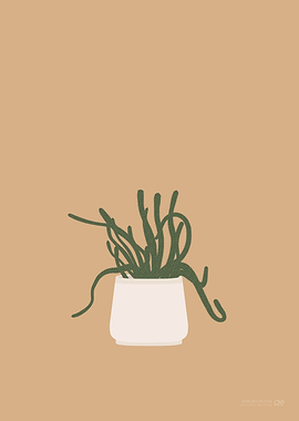 Shrub Cactus Illustration