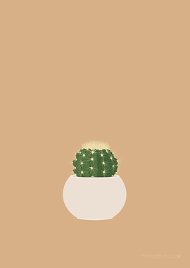 Golden Barrel Cactus