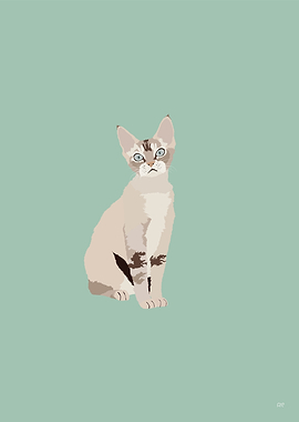 Devon Rex Cat Illustration