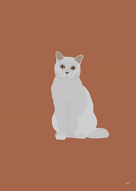 British Shorthair Cat