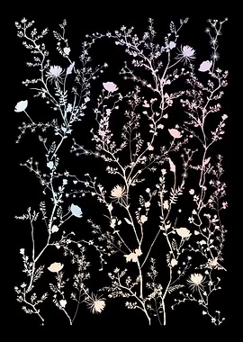 Flowers Women Floral