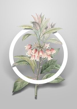 Chinese New Year Flower