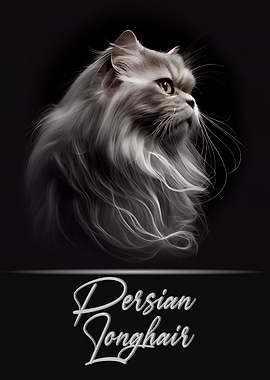 Persian Longhair