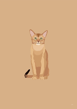 Abyssinian Cat Illustrated