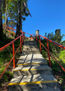 Sand Palm Tropical Beach