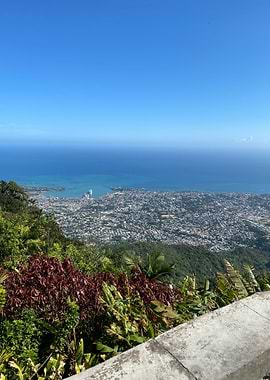 Sand Palm Tropical Beach