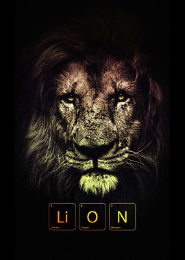 KING LION