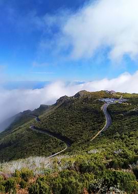 Madeira Hiking Ocean Trees