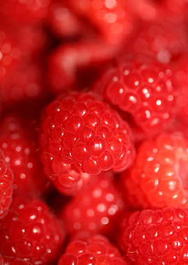 Fresh red berries close up