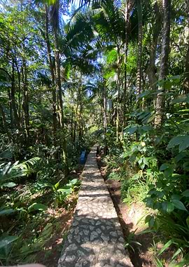 Sand Palm Tropical Beach