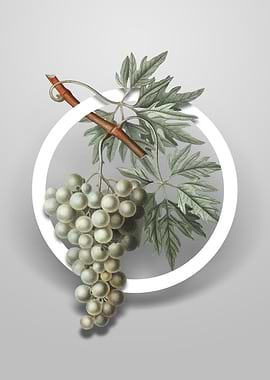 Vintage Grape Vine Flower
