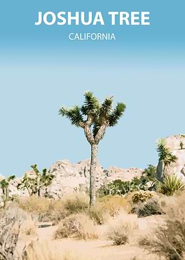 Joshua Tree National Park