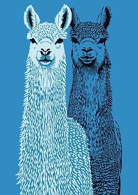 Alpacas Wall Art