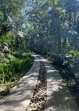Sand Palm Tropical Beach