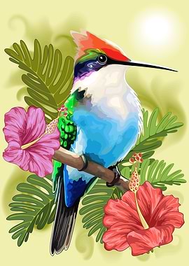 Hummingbirds and Hibiscus