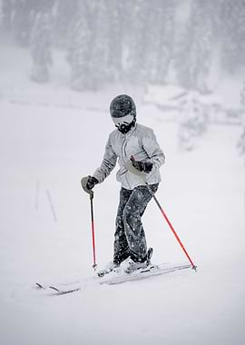 Snow skier