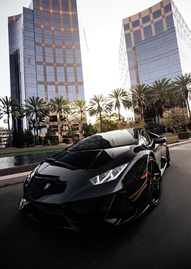 The Beast on the Road