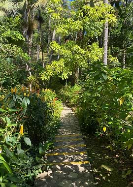 Sand Palm Tropical Beach