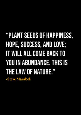 Steve Maraboli Quote