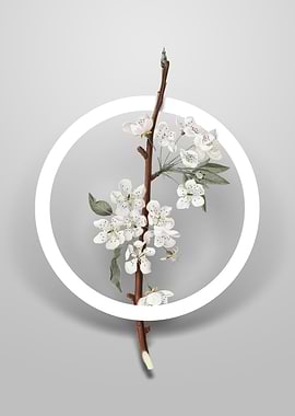 Vintage Musky Pear Flower