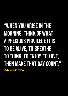 Steve Maraboli Quote