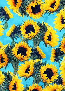Sunflowers Sky