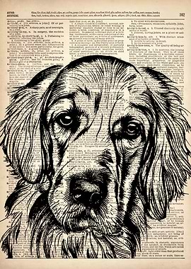 Golden Retriever Dog art