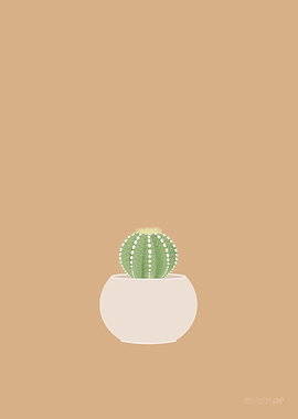 Ball Cactus Illustration