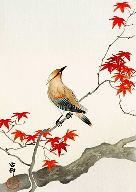 Japanese plague bird Ohara