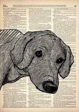 Retriever DOG ILLUSTRATION
