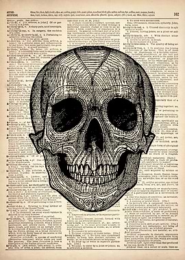Human skull ILLUSTRATION