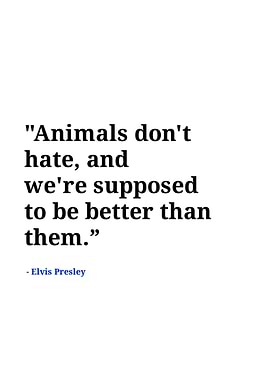 Elvis Presley quotes