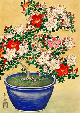 Blooming azalea Ohara Koso