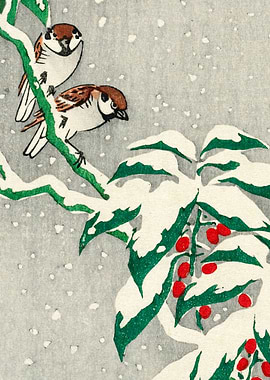 Sparrows snowy berry bush