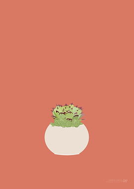 Hens and Chicks Plant