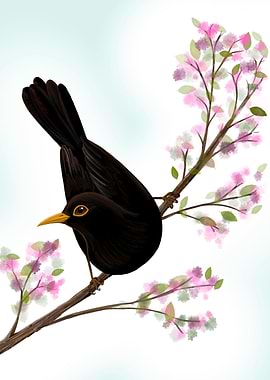 Blackbird in a tree