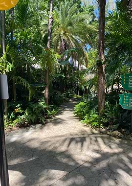 Sand Palm Tropical Beach