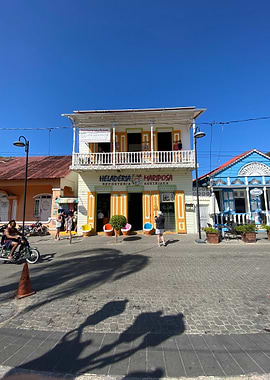 Sand Palm Tropical Beach