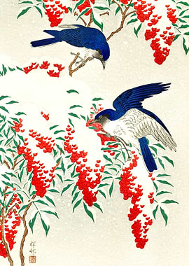 Flycatchers nandina bush